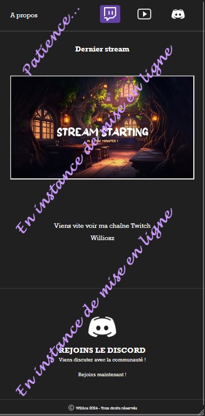 Projet de stage : Création d'un portfolio pour le streamer William Vilela